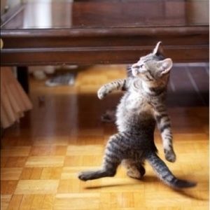 Meet your Posher, Estee